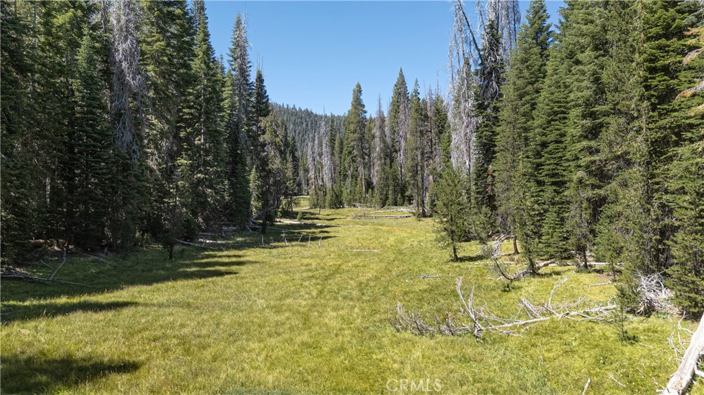 67922 Beasore Rd, Bass Lake, CA 93604