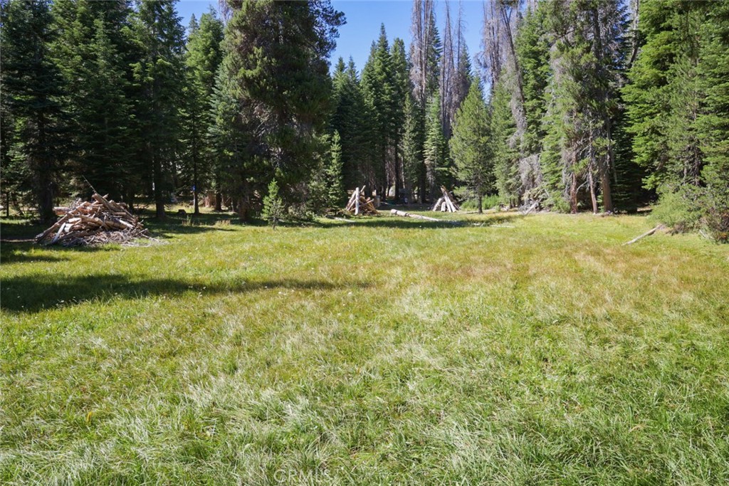 67922 Beasore Rd, Bass Lake, CA 93604