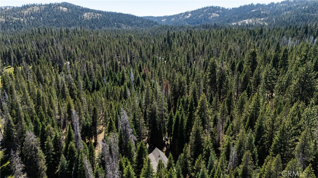 67922 Beasore Rd, Bass Lake, CA 93604