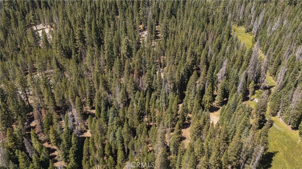 67922 Beasore Rd, Bass Lake, CA 93604
