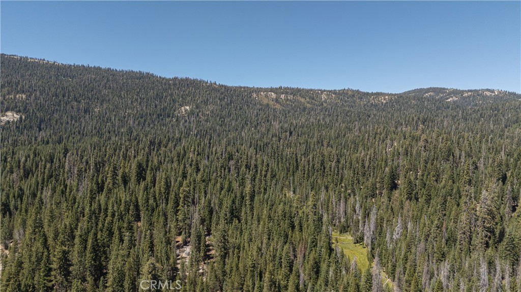 67922 Beasore Rd, Bass Lake, CA 93604