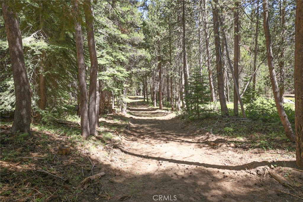 67922 Beasore Rd, Bass Lake, CA 93604