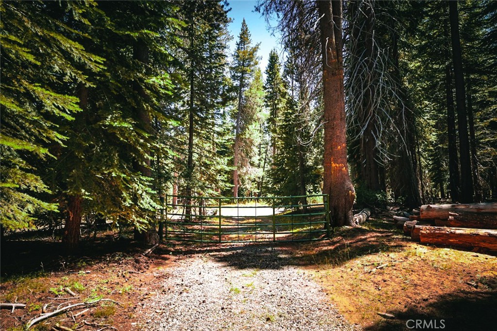 67922 Beasore Rd, Bass Lake, CA 93604