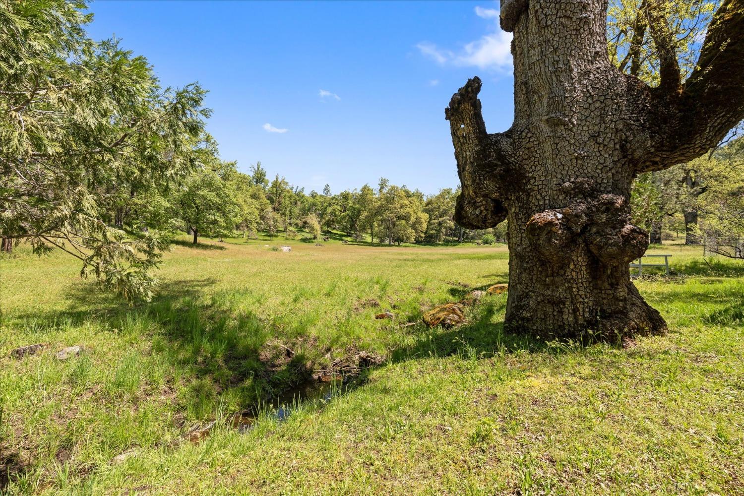 36556 Mudge Ranch Rd, Coarsegold, CA 93614