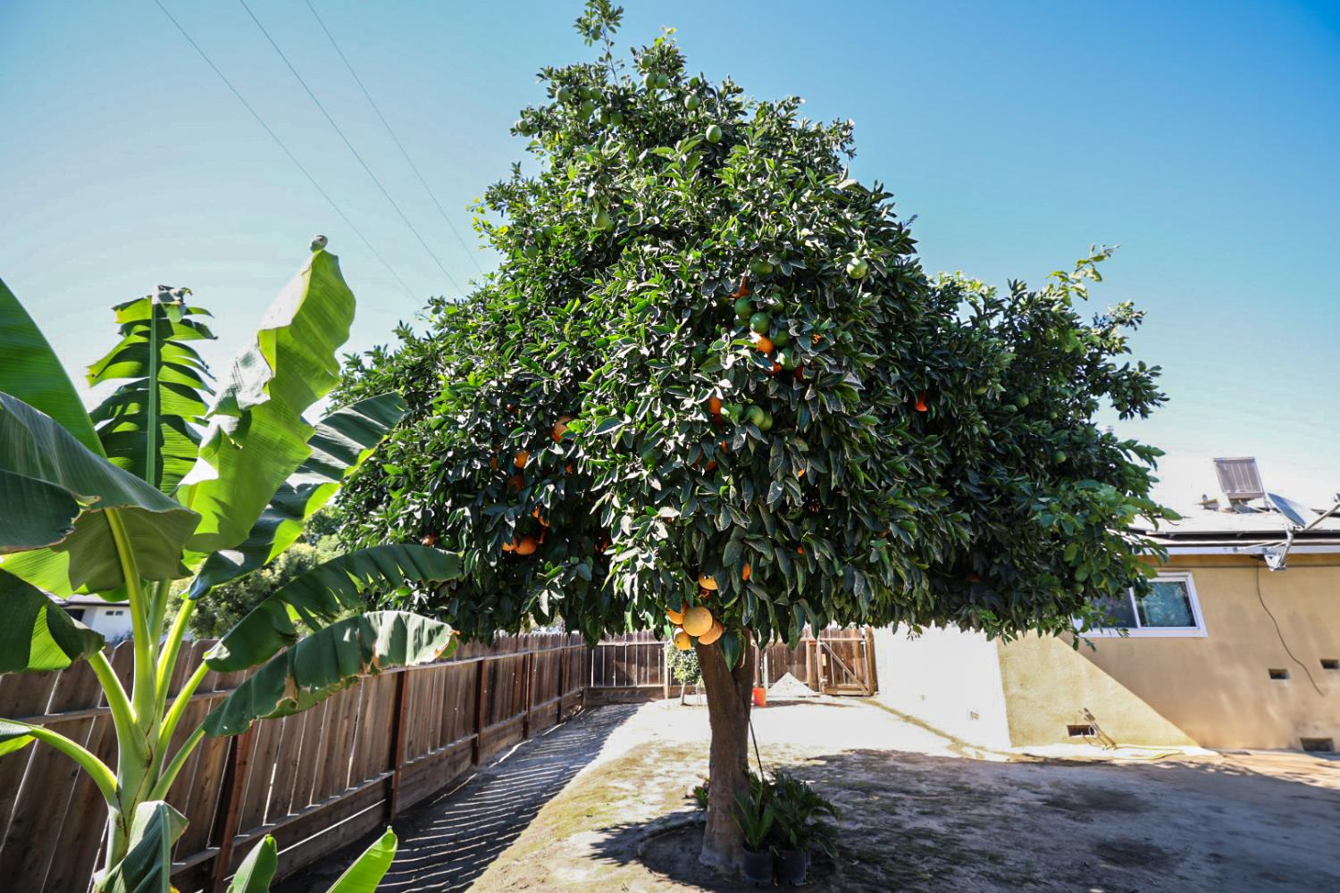 543 E Hopkins Ave, Fresno, CA 93706