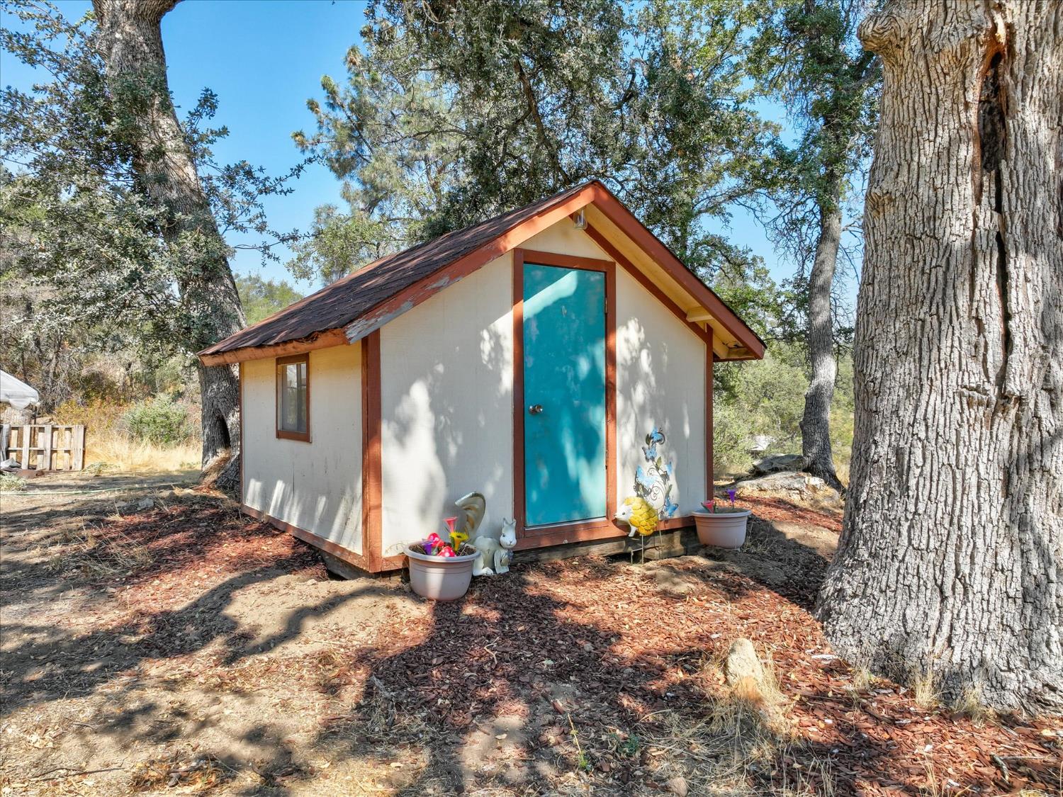 29638 Jim Bowie Ct, Coarsegold, CA 93614