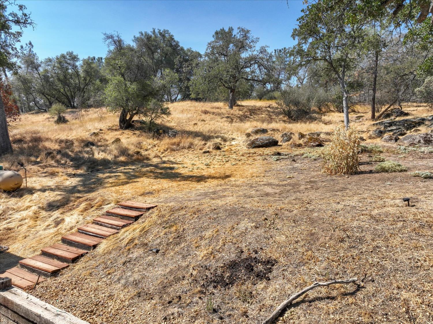29638 Jim Bowie Ct, Coarsegold, CA 93614